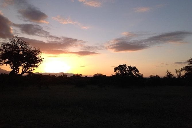 Kruger Park Safari: Guided Day Tour From Nelspruit - Group Size and Accessibility