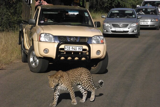 Kruger Park Safari Private Full-Day Tour From Marloth Park - Meeting and Pickup Information