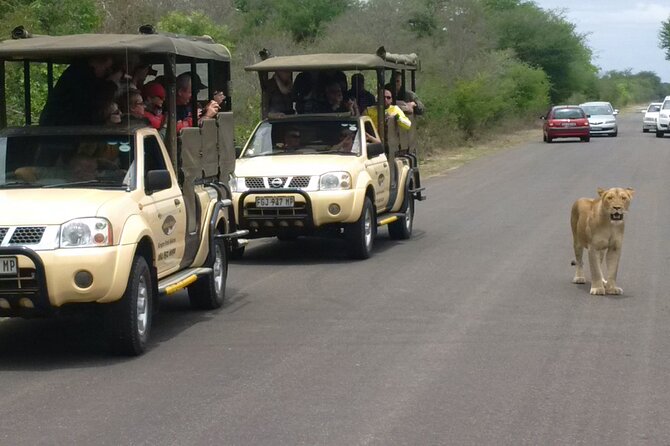 Kruger Park Safari Private Full-Day Tour From Marloth Park - Experienced and Knowledgeable Guides