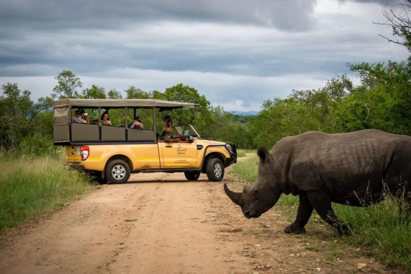 Kruger Safari Tour: Morning Half Day - Key Points