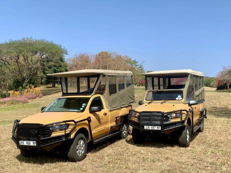 Kruger Safari Tour: Morning Half Day - Professional Guide Service