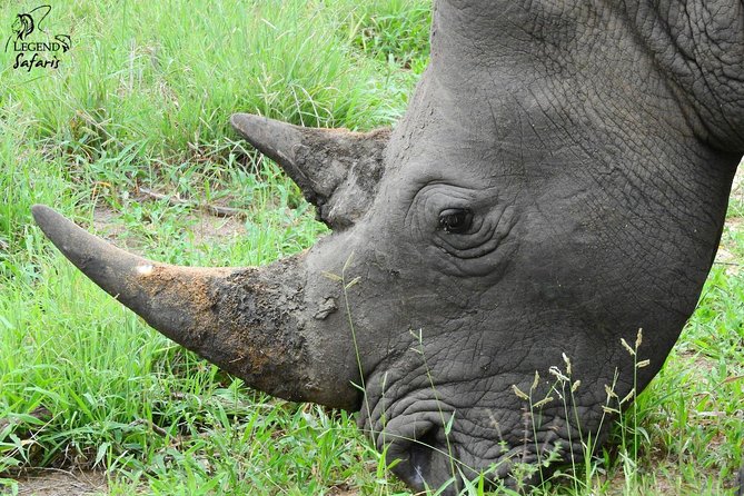 Kruger Safari Tour - Morning Half Day - Safari Vehicle