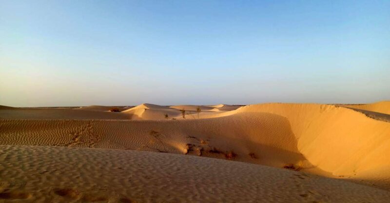 Ksar Ghilan (Oasis) One Day Tour: Starting From Djerba - Key Points