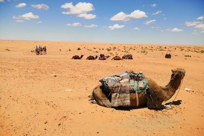Ksar Ghilane 1 Day: the Hot Spring and the Homestay - Savoring the Included Lunch
