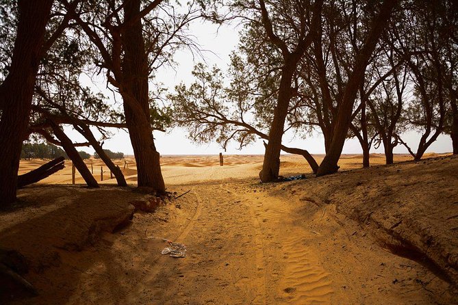 Ksar Ghilane 1 Day: the Hot Spring and the Homestay - Booking and Cancellation Policies