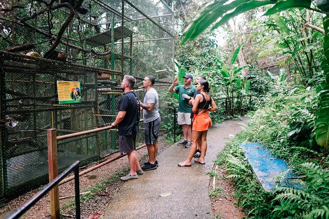 KSTR Re-Wilding Center Manuel Antonio (Sloth/Primate Park) - Focus on Animal Welfare