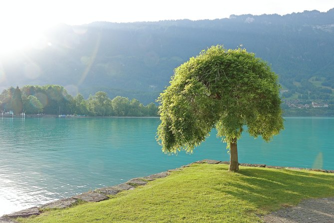 (Ktl361) - Interlaken Day Trip by Bus From Lausanne - Transportation and Accessibility