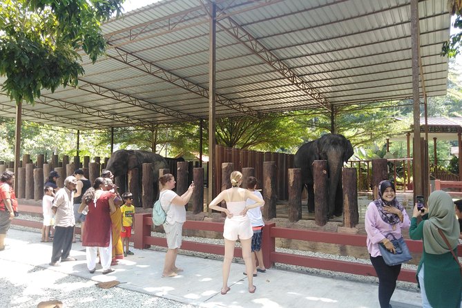 Kuala Gandah Elephant Sanctuary With a Batu Caves Visit - Itinerary Details