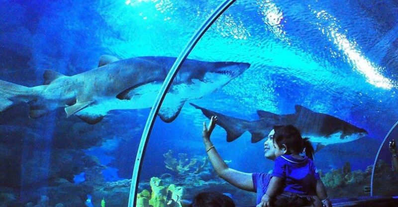 Kuala Lumpur: Aquaria KLCC Entry Ticket - Key Points