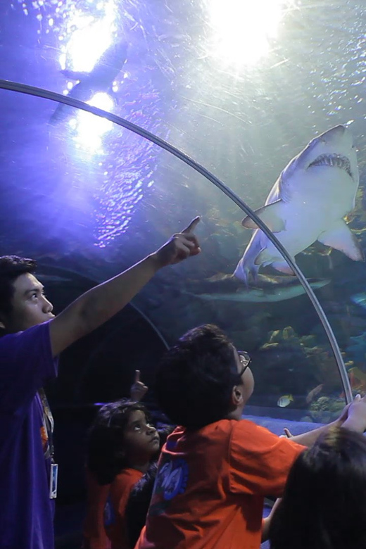 Kuala Lumpur: Aquaria KLCC Entry Ticket - Highlights of the Aquarium Experience