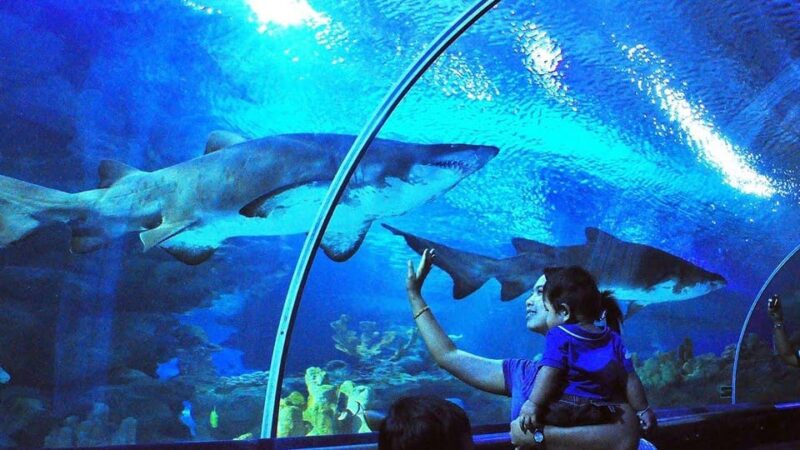 Kuala Lumpur: Aquaria KLCC Entry Ticket - Location and Accessibility Information