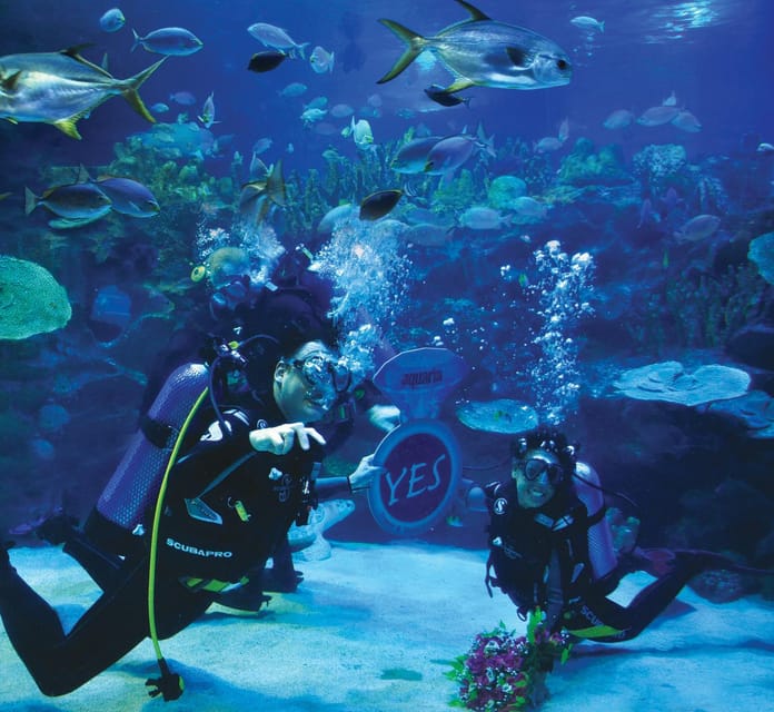 Kuala Lumpur: Aquaria KLCC Entry Ticket - Customer Reviews and Ratings