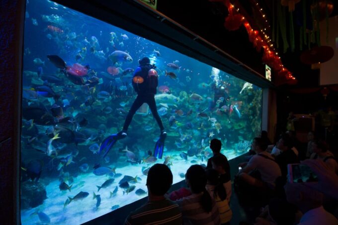 Kuala Lumpur: Aquaria KLCC Entry Ticket - Activities and Interactive Exhibits