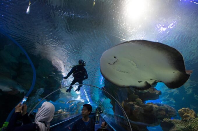 Kuala Lumpur: Aquaria KLCC Entry Ticket - Admission and Age Policies