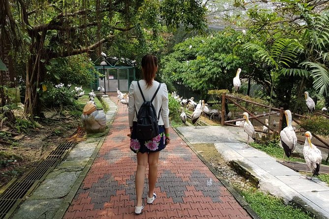 Kuala Lumpur Bird Park Admission Ticket With Private Pickup - Private Tour Experience