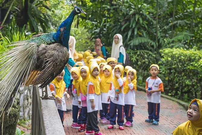 Kuala Lumpur Bird Park & Butterfly Farm Tour - Exploring the Bird Park