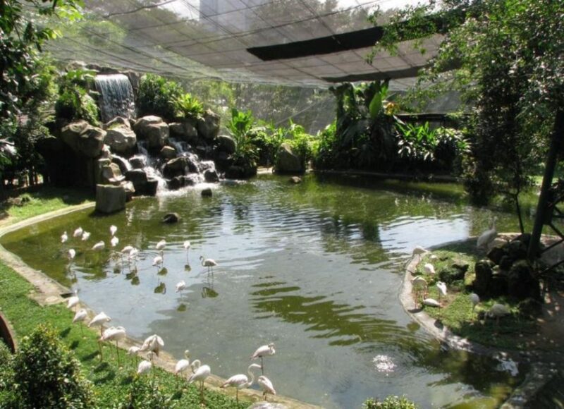 Kuala Lumpur: Bird Park, Butterfly & Garden Private Tour - Kuala Lumpur Butterfly Park