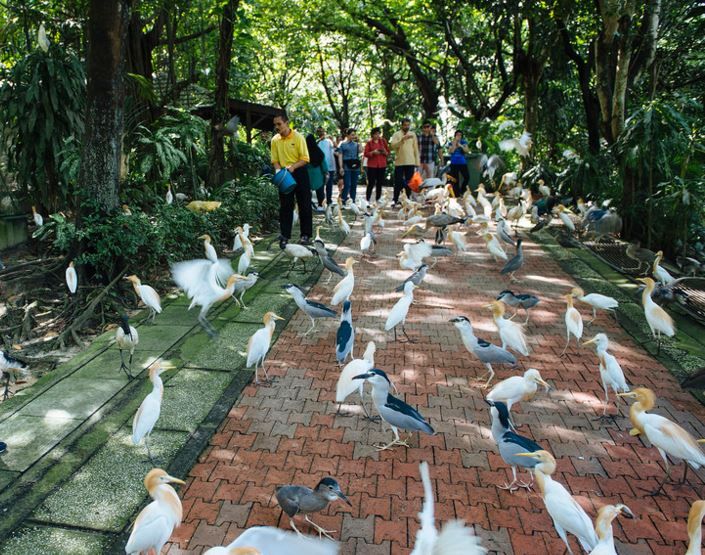 Kuala Lumpur: Bird Park, Butterfly & Garden Private Tour - Highlights