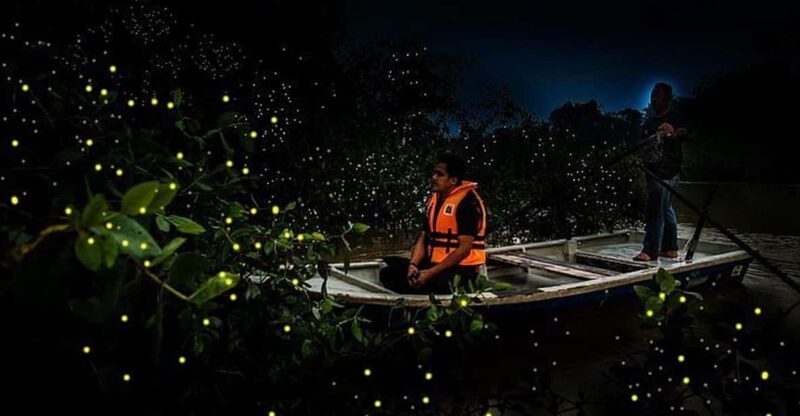 Kuala Lumpur: Fireflies Tour With Dinner and Hotel Pickup - Activities