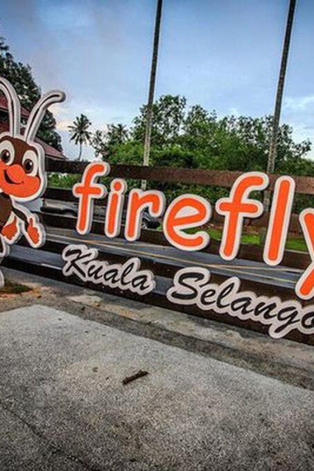 Kuala Lumpur: Fireflies Tour With Dinner and Hotel Pickup - Getting to the Tour