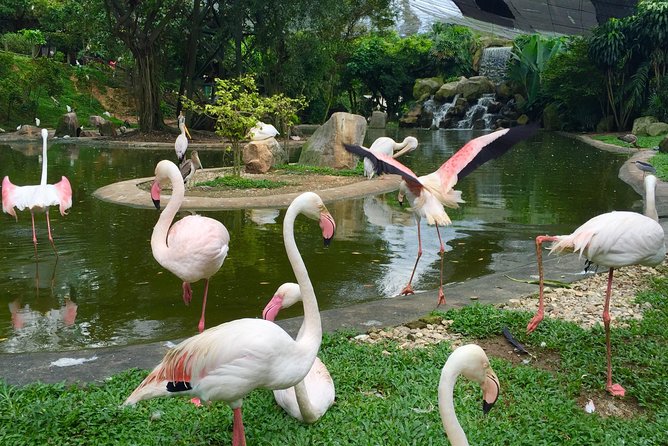 Kuala Lumpur Garden, Park and Museum Tour With Lunch - Perdana Botanical Garden