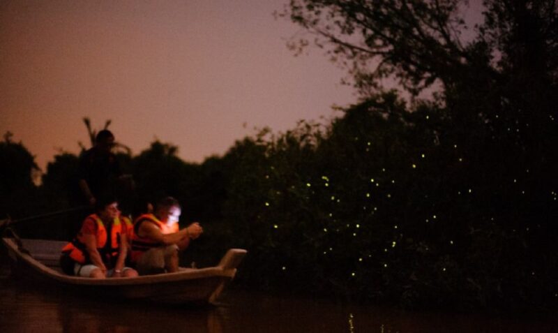 Kuala Lumpur: Kuala Selangor Firefly Tour and Dinner - Experience Details