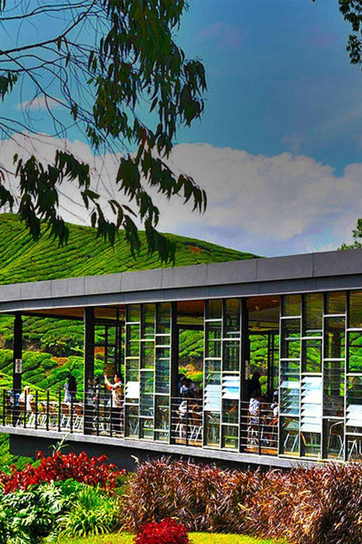 Kuala Lumpur: One-Way Transfer to Cameron Highlands - Suitability and Restrictions
