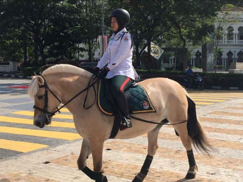 Kuala Lumpur: Private Sightseeing Tour With Pickup - Customer Reviews