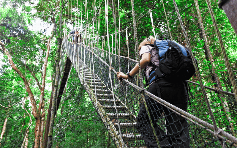 Kuala Lumpur: Taman Negara National Park Teras Waterfall - Key Points