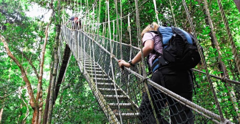 Kuala Lumpur: Taman Negara National Park Teras Waterfall - Itinerary and Experience