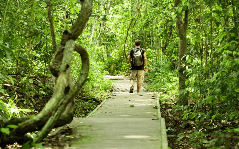 Kuala Lumpur: Taman Negara National Park Teras Waterfall - Inclusions and Exclusions