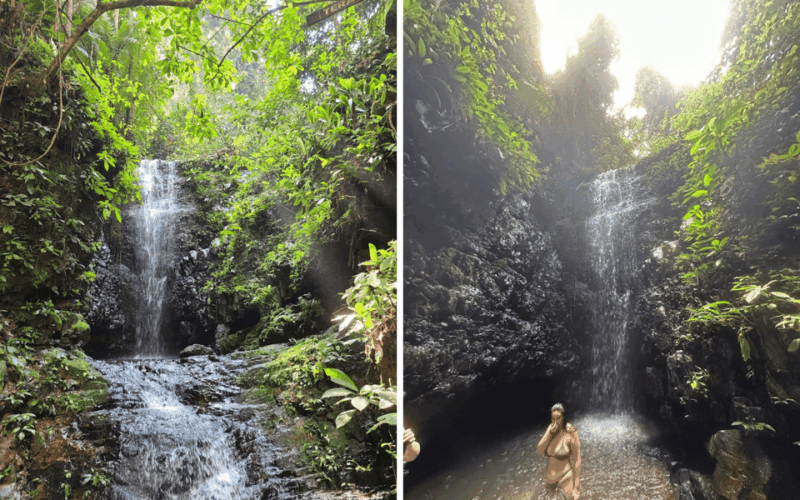 Kuala Lumpur: Taman Negara National Park Teras Waterfall - Suitability and Recommendations