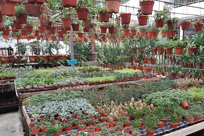 Kuala Lumpur to Cameron Highlands - Destination Highlights