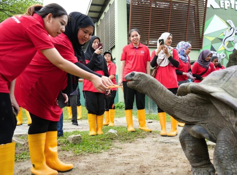Kuala Lumpur: Zoo Negara Instant Entry E-Ticket - Panda Conservation Center