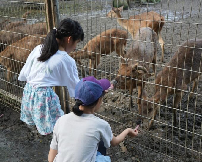 Kuala Lumpur: Zoo Negara Instant Entry E-Ticket - Visitor Amenities and Facilities