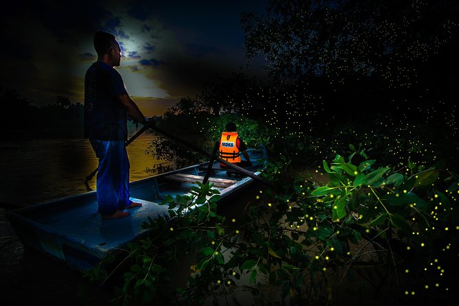 Kuala Selangor Fireflies - Batu Caves Temple- Malawati Hill DayTour With Dinner - Areas for Improvement