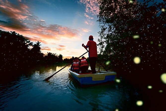 Kuala Selangor Fireflies Tour - Attractions and Activities