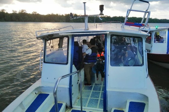 Kuala Selangor Fireflies Tour (Special Deal) - Additional Information