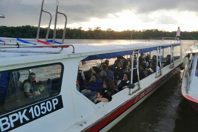 Kuala Selangor Fireflies Tour (Special Deal) - Preparing for the Experience