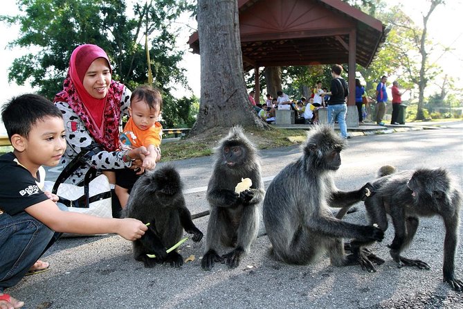 Kuala Selangor Firefly Park & Batu Caves Tour - Getting There