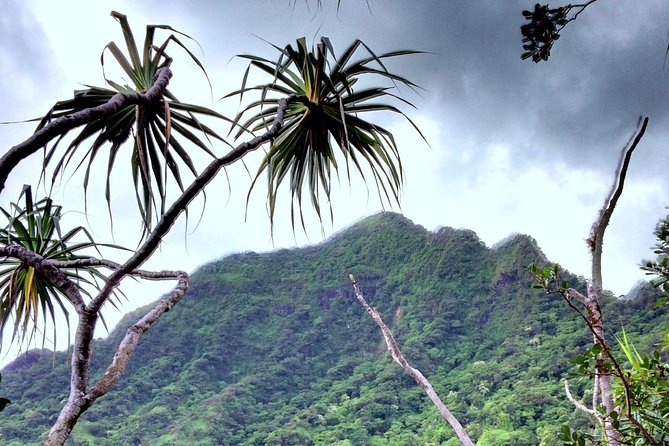 Kualoa Ranch Electric Mountain Bike Tour: Novice Level - What to Expect on the Trail