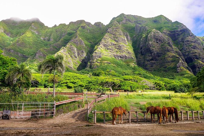 Kualoa Ranch: Hollywood Movie Sites Tour - Just The Basics