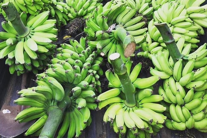 Kualoa Ranch - Kualoa Grown Tour - Aquaculture and Sailing Traditions