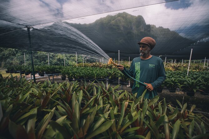 Kualoa Ranch - Kualoa Grown Tour - Logistical Information
