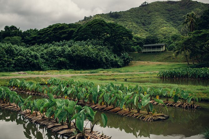 Kualoa Ranch: Malama Experience Tour - Exploring Kualoa Ranchs Natural Beauty