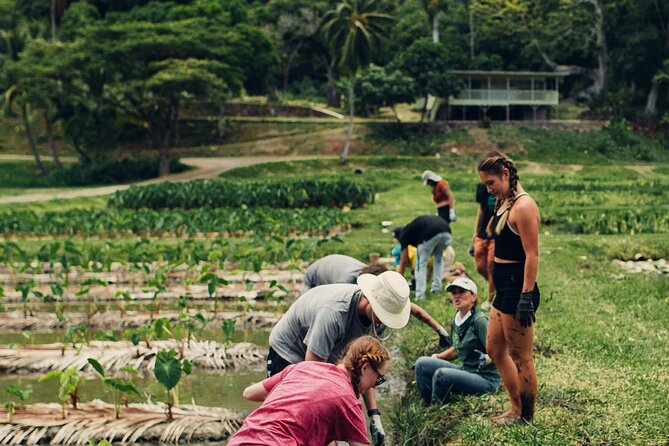 Kualoa Ranch: Malama Experience Tour - Insights Into Hawaiian Sustainability Practices