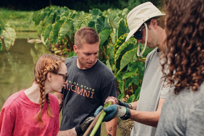 Kualoa Ranch: Malama Experience Tour - Safety and Health Considerations