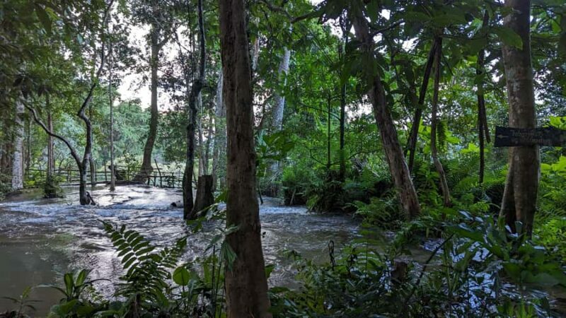 Kuang Si Falls, Khmu Village Trek & Sunset Cruise - The Hidden Spring and Local Lunch