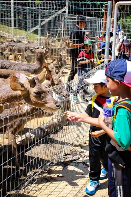 Kuantan: Teruntum Zoo Ticket - Included Attractions