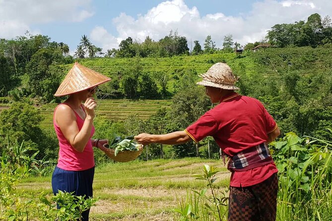 Kubu Terrace Jatiluwih Cooking Class - Customer Ratings and Reviews